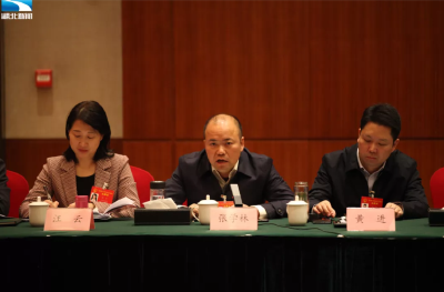 张学林代表：加快恢复生猪生产的同时，也要大力发展肉牛生产