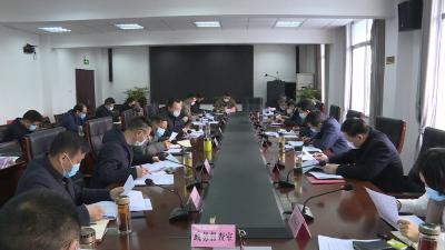 我市召开项目策划推进会