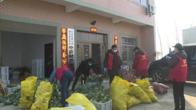 爱心蔬菜驰援防疫一线