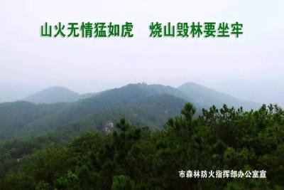 关于森林防火致全市人民的一封公开信