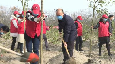 张学林王燮耀等市“四大家”领导参加义务植树活动