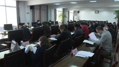 市项目建设推进工作领导小组2020年第二次全体会议召开