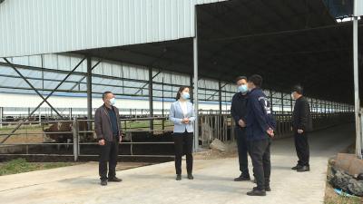 市领导督导检查重点项目建设和复工复产情况