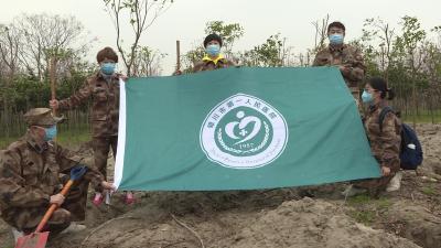 并肩抗疫情 共植友谊树
