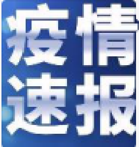 襄阳市新型冠状病毒肺炎疫情通报（129）