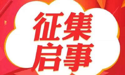 “六稳”“六保”政策措施落实
有关问题线索和意见建议