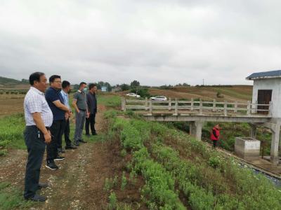 老河口：未雨绸缪防患未然 全力保障安全度汛