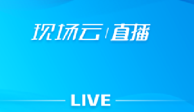 老河口市汉江奇石文创园木雕技艺网络直播