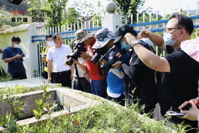 小康生活看这里！中央、省级媒体采访团走进襄阳