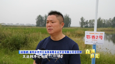 直通襄阳 | 襄阳：全力建设中国有机谷