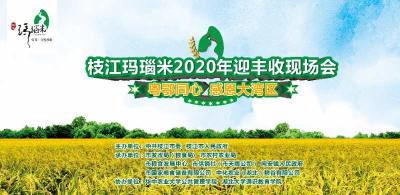 直播| 枝江玛瑙米2020年迎丰收暨粤鄂同心·“感恩大湾区”现场会
