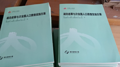 老河口：集中发放人口普查物资