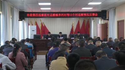 市委第四巡察组向孟楼镇李河村等13个村党组织反馈巡察情况
