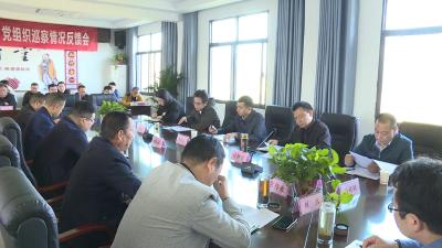 市委第三巡察组 向竹林桥镇朱岗等14个村（社区）党组织反馈巡察情况