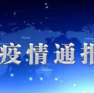 襄阳市境外返襄入襄人员有关情况通报（221）