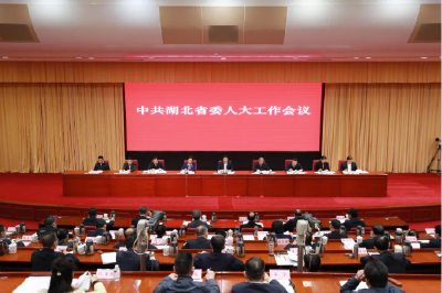 把人民代表大会制度优势转化为治理效能！应勇在这个重要会议上提要求