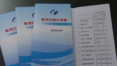 【聚焦县域经济高质量发展】市统计局：提升服务质量 助推县域经济发展