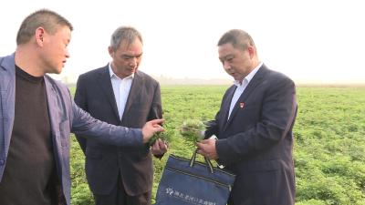 市农商行聚力脱贫攻坚贡献信贷力量