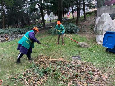 市城管执法局：公共绿地冬季管护不放松