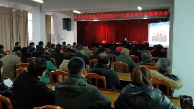市人社系统学习贯彻十九届五中全会精神