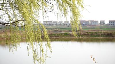 袁冲乡陡沟河村：建设美丽乡村 改善人居环境