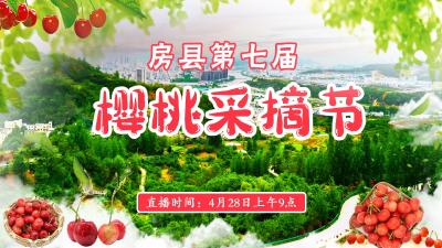 直播标题：直播|房县第七届樱桃采摘节