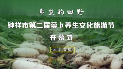 直播标题：《希望的田野》钟祥市第二届萝卜养生文化旅游节开幕式