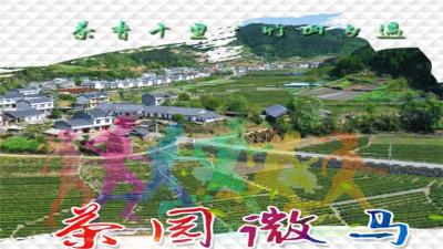 “茶香十里·竹山乡遇”2023竹坪茶园微马健康跑
