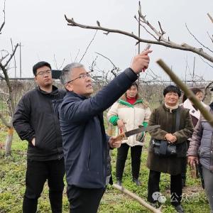 湖北老河口：林果培训助春耕 科技服务促生产
