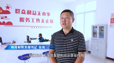 【短视频】以石为媒兴产业 党建引领促振兴