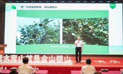 襄阳首次！20个逆袭村同台PK 保康县黄龙观村斩获一等奖