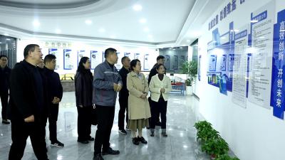 市领导调研工商联工作