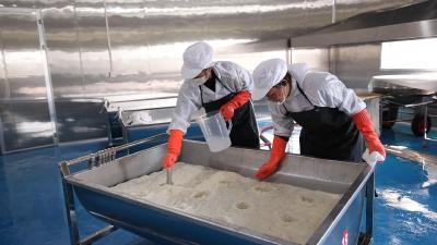 李楼镇张庄村：小雪启冬酿 黄酒香飘致富路