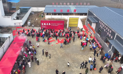 大张洼村：蜜薯飘香墨韵浓  乡村年货暖新春