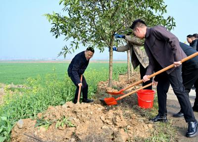 冯玉强参加义务植树活动