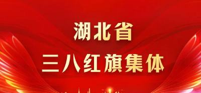 老河口血浆站获评“湖北省三八红旗集体”
