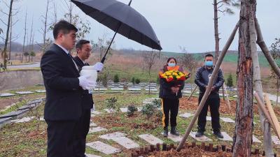 市民政局：推行生态安葬 让生命回归自然