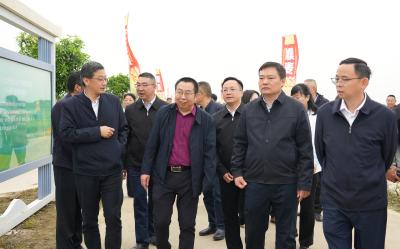 湖北省小麦产业技术体系育种创新成果观摩会在我市召开