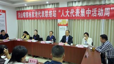 市领导参加“四级人大代表集中活动周”专题活动