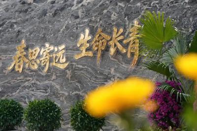 生态安葬，不只是“省地省事”那么简单