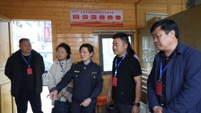 仙人渡镇南岗人大代表联络站开展“人大代表集中活动周”安全生产专题视察