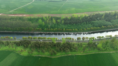 【奋进“十五五” 实干开新局】织“藤”固“瓜”润良田 守牢粮食“压舱石”