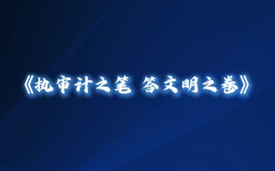 【2026年新时代文明实践项目展示】市审计局：执审计之笔 答文明之卷