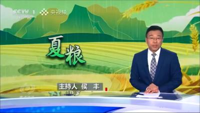 央视《焦点访谈》报道我市！战阴雨 抢农时 保丰收