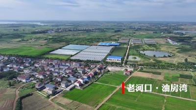 油房湾村党支部：“三变”改革改出共富路