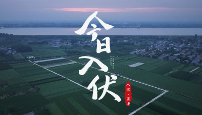 初伏至 沙洲鲜 一桌家常解暑热