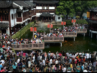 上海已被“人从众”挤爆