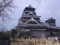 百岁老人出国游 30余子女孙辈陪同
