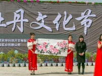 襄阳建成千亩牡丹花海 洛阳你可要小心喽!