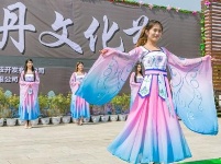 襄阳建成千亩牡丹花海 洛阳你可要小心喽!